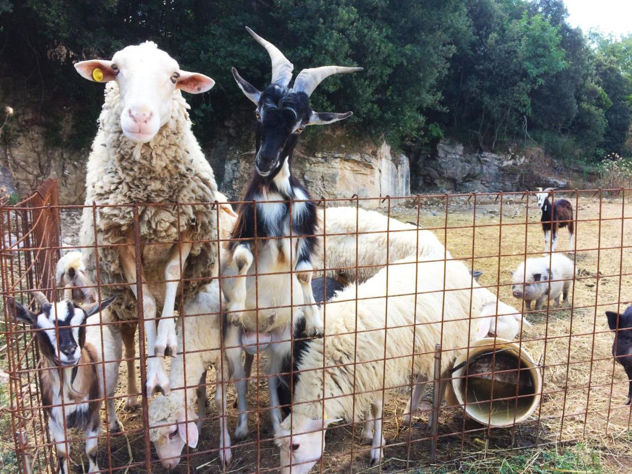 Agriturismo Eco-Bio Belmonte Vacanze มอนตาโยเน ภายนอก รูปภาพ